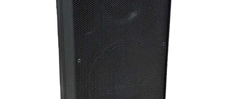 רמקולים TLA לעסקים ומסעדות | פתרון הגברה מקצועי ואיכותי